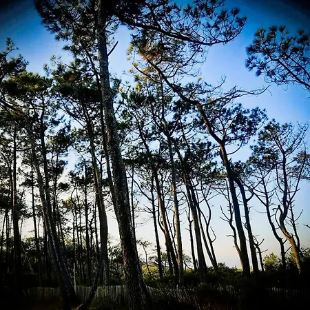 La Bulle De Lily Apartment Moliets-et-Maa