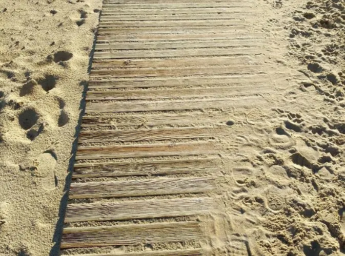 Apartment La Bulle De Lily *