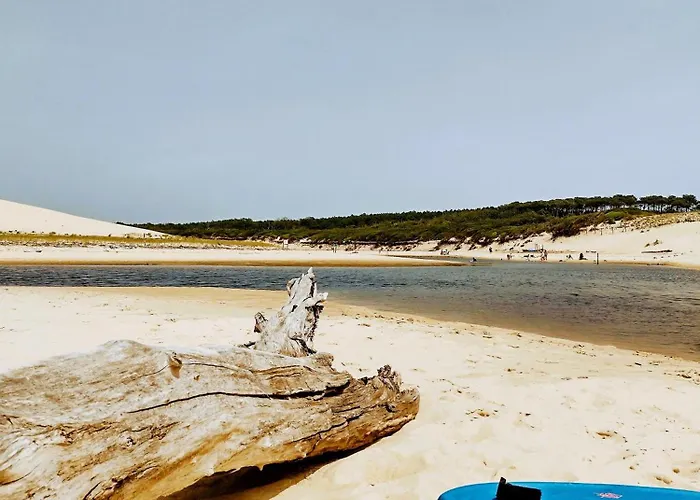 La Bulle De Lily Apartment *