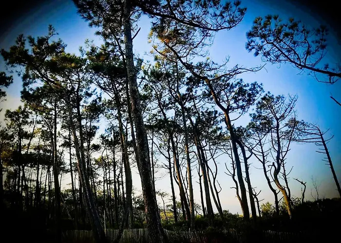 La Bulle De Lily Apartment Moliets-et-Maa
