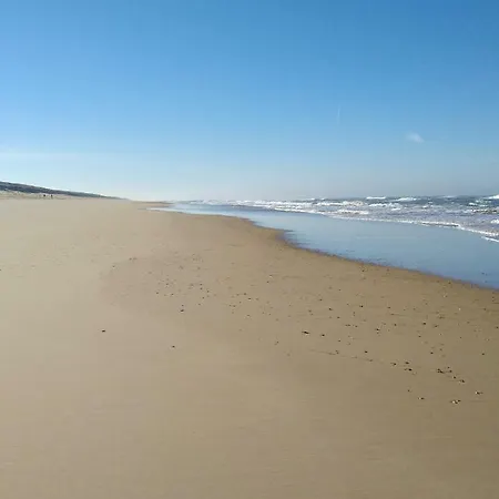 公寓 La Bulle De Lily 莫列马阿