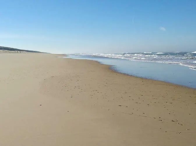 Lejlighed La Bulle De Lily Moliets-et-Maa